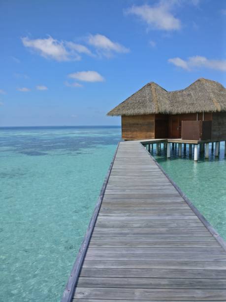 istock Tropical paradise - Maldives 898206478