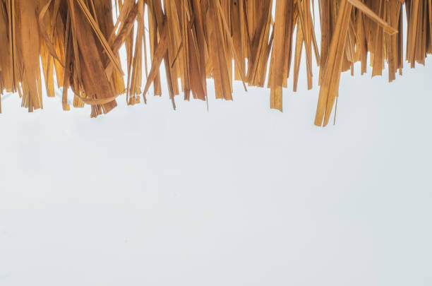 Hay leaves with sky broom, closeup, coast, dried