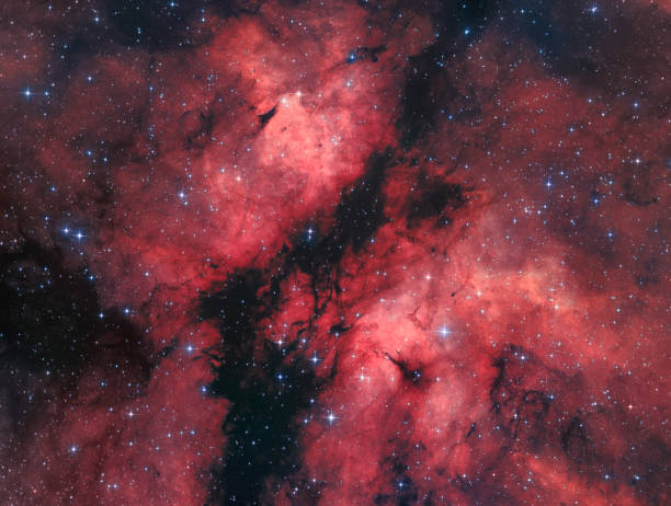 istock The Gamma Cygni Nebula 898212368