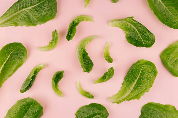 istock Leaves green fresh salad on pink background, pattern. 898212698