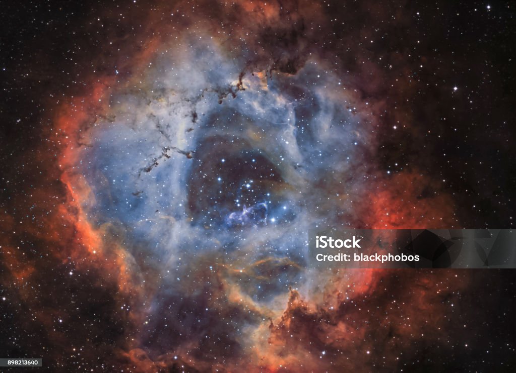The Rosette Nebula (NGC 2244) in narrow band light An astronomical long time exposure, taken at the Baerenstein Observatory in Baerenstein, Germany. NGC 2244 is an open cluster in the Rosette Nebula, which is located in the constellation Monoceros. This cluster has several O-type stars, super hot stars that generate large amounts of radiation and stellar wind. The age of this cluster has been estimated to be less than 5 million years. Supernova Stock Photo