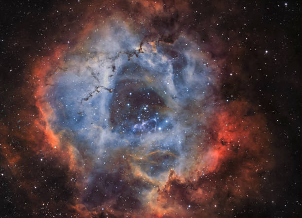 The Rosette Nebula (NGC 2244) in narrow band light An astronomical long time exposure, taken at the Baerenstein Observatory in Baerenstein, Germany. NGC 2244 is an open cluster in the Rosette Nebula, which is located in the constellation Monoceros. This cluster has several O-type stars, super hot stars that generate large amounts of radiation and stellar wind. The age of this cluster has been estimated to be less than 5 million years. supernova stock pictures, royalty-free photos & images