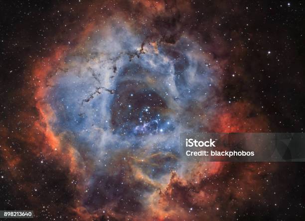 The Rosette Nebula In Narrow Band Light Stock Photo - Download Image Now - Supernova, Nebula, Big Bang