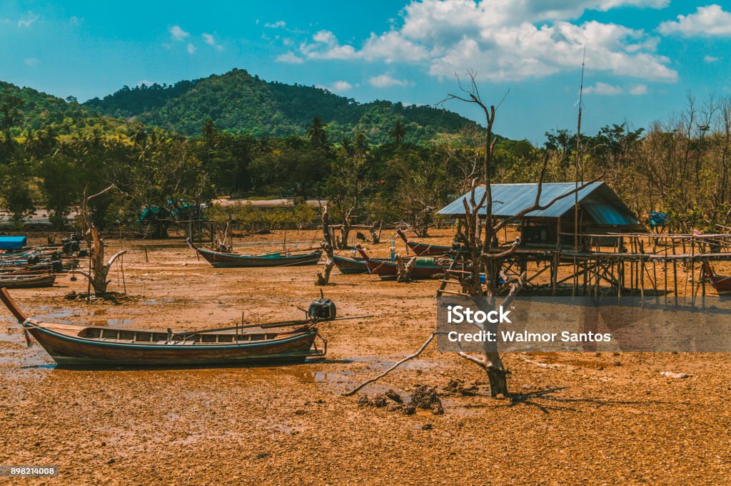 Dry lands Dry Swamp in Thailand Palafitos Stock Photo