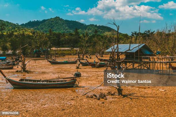 Dry Lands Stock Photo - Download Image Now - Palafitos, Swamp, Abandoned