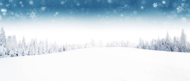 istock Winter forest and meadow landscape with snow flakes. 898214710