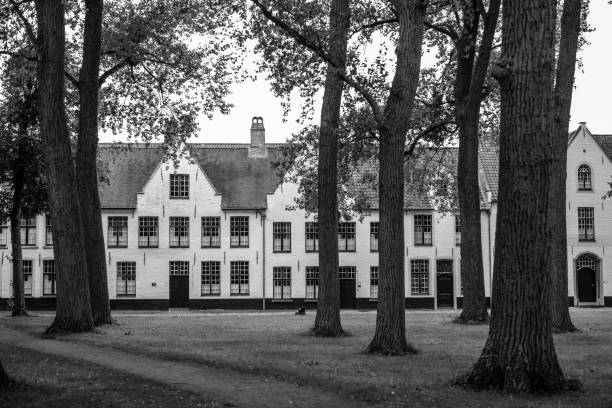 istock Houses in the trees. 898215876