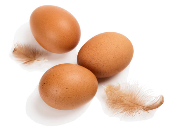 istock Close-up view of raw chicken eggs 898218942