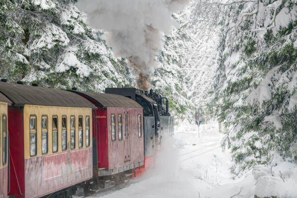 tren de vapor histórico en zona de harz en el camino a la montaña de brocken - locomotive steam train train snow fotografías e imágenes de stock