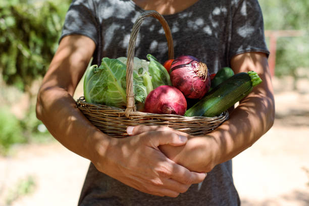 young man with a basket full of vegetables