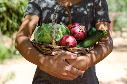 closeup of a young caucasian man with a rustic basket full of vegetables freshly collected in an organic orchard