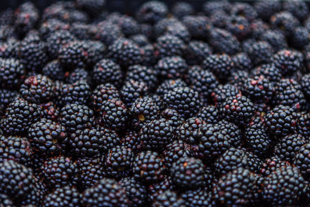 istock Fresh blackberries at market, closeup 898224204