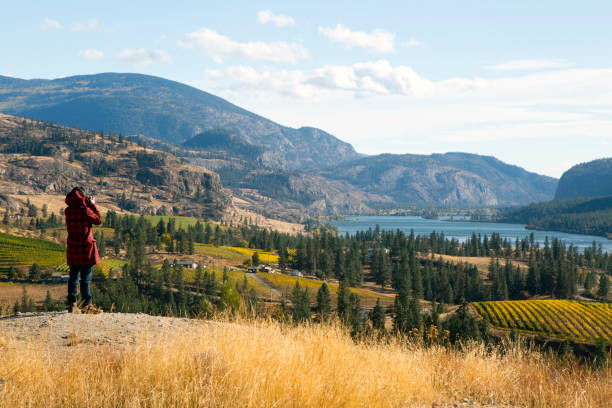 A young adult woman tourist taking a photography of the vineyards overlooking Vaseux Lake, Okanagan Falls, British Columbia, Canada.