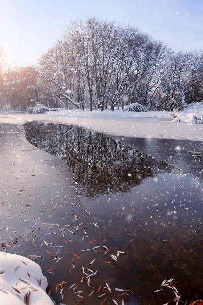 istock Winter landscape in frosty day 898239988