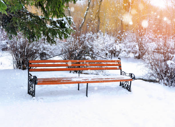 istock Bench in the park covered with snow 898240014