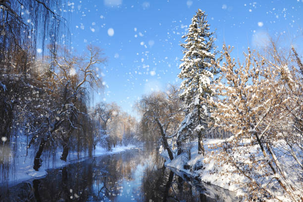 snow-covered landscape in a park, closeup of photo