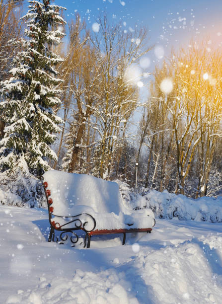 istock Bench in the park covered with snow 898240060