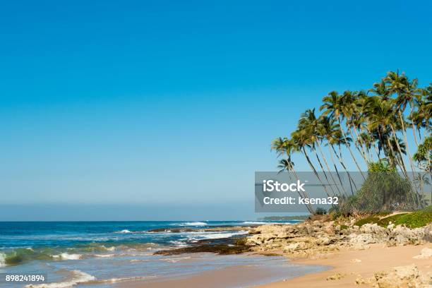 Landscape Of The Coast Of The Indian Ocean In Sri Lanka Stock Photo - Download Image Now