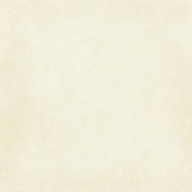 istock Brown wooden plank fence background or texture. 898242450