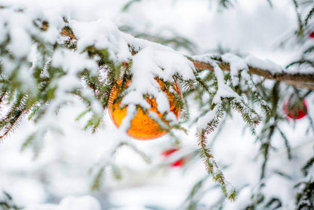 istock Glass baubles on a Christmas tree covered in snow - 6 898242684