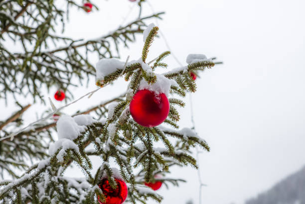 istock Glass baubles on a Christmas tree covered in snow - 1 898242698