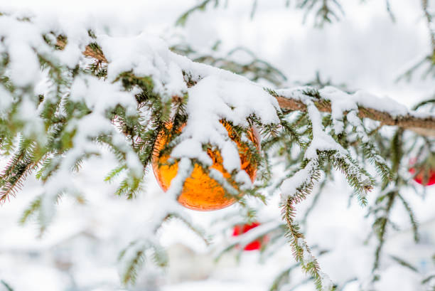 istock Glass baubles on a Christmas tree covered in snow - 7 898242832