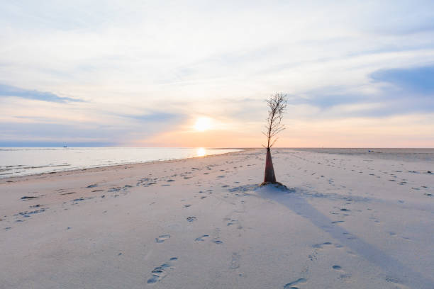 Vidzeme rocky beach on a springtime sunset
