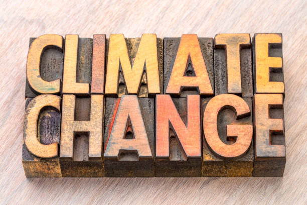 istock climate change word abstract in wood type 898245602
