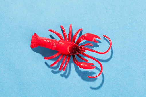 Crab toy on blue background