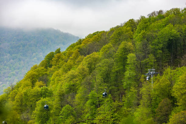 istock High-altitude landscape from Sochi, Russia. 898246290