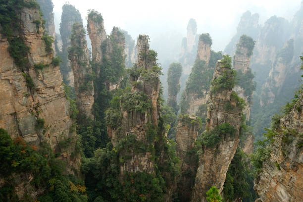 Generals' rocks in the Wulingyuan Scenic and Historic Interest Area of the world heritage, China. stock photo