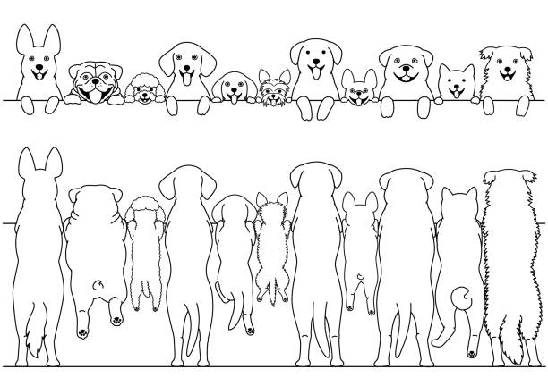 Labrador Face Vector Art Icons And Graphics For Free Download Labrador Face Vector Art Icons And Graphics For Free Download
