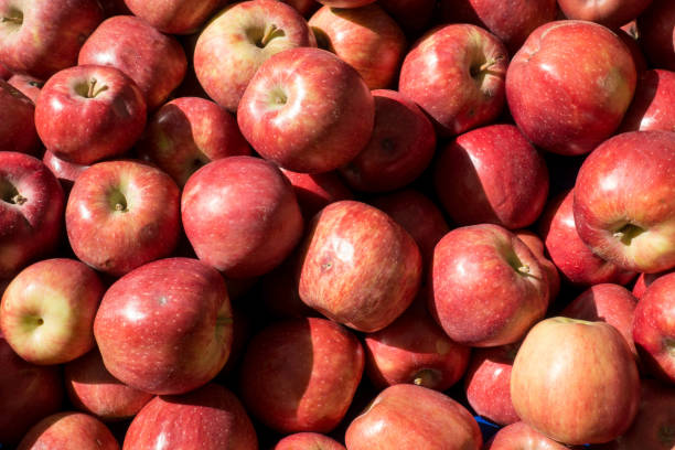 istock Ripe Red Juicy Apple Heap 898251502