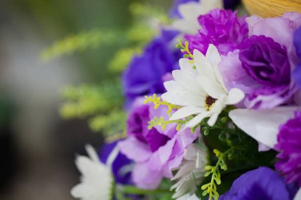 istock close up beautiful flower purple tones 898253844