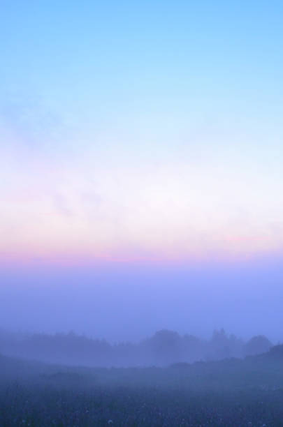 istock morning fog 898255396