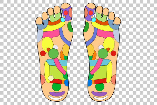 伝統的な代替を癒すため、鍼治療 - 足方式 - massaging human foot reflexology foot massage点のイラスト素材／クリップアート素材／マンガ素材／アイコン素材