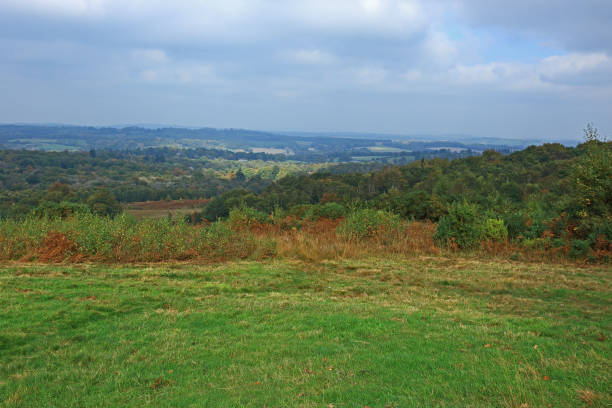 A view of the countryside in the Ashdown forest A view of the countryside in the Ashdown forest ashdown forest photos stock pictures, royalty-free photos & images