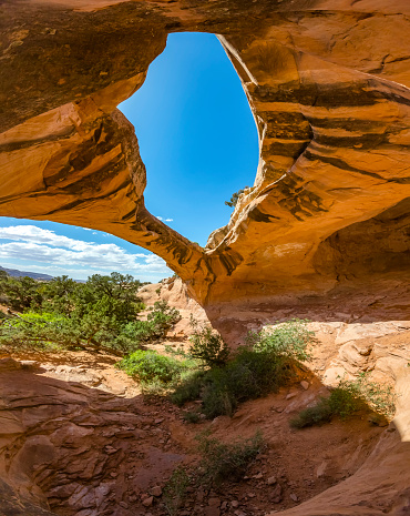 Moab Utah has plenty of geological features and interesting plants