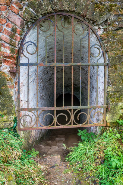 istock Enter the Petrovaradin Fortress inside 898261320