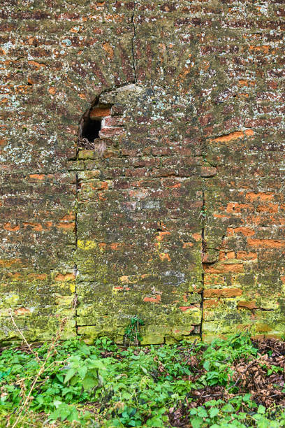 istock Enter the Petrovaradin Fortress inside 898261338