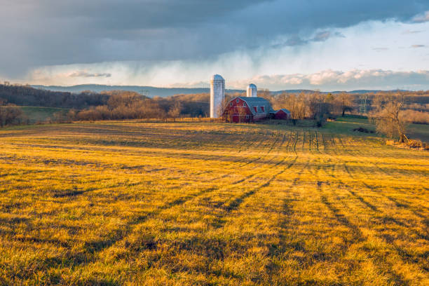 istock Winter Afternoon on the Farm 898262632