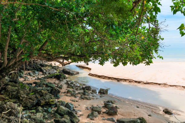 istock a sandy beach washed by the water of a river that flows into the sea 898262730