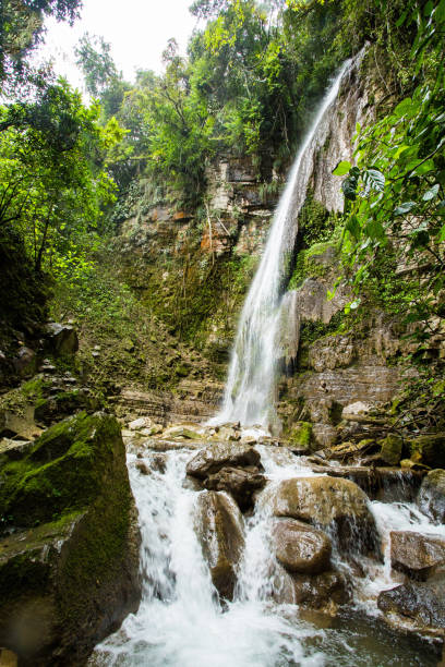 istock Tropical waterfall at Xilitla ruins 898263146