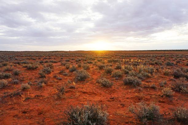 istock Arid Lands, Roxby Downs, South Australia 898263896