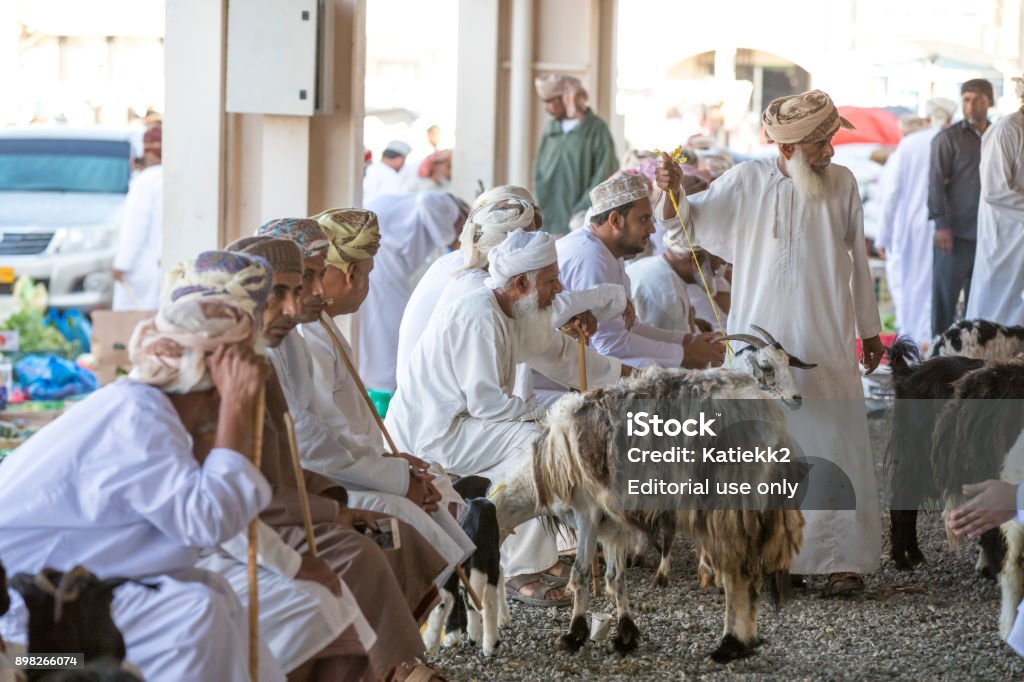 buying goats at a market Sinaw, Oman, November 30th, 2017: buying goats at a market Agriculture Stock Photo