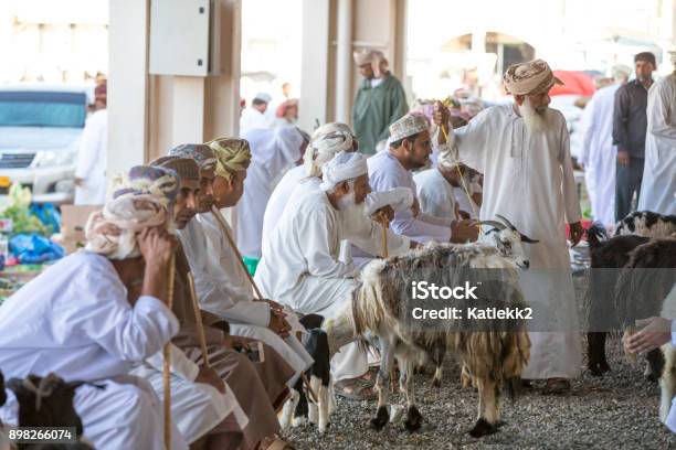 Buying Goats At A Market Stock Photo - Download Image Now - Agriculture, Animal, Arabian Peninsula