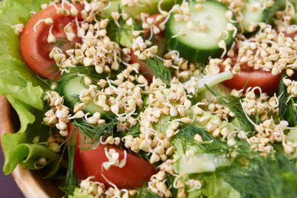 Buckwheat sprouts. Fresh vegetable salad. Healthy Eating.