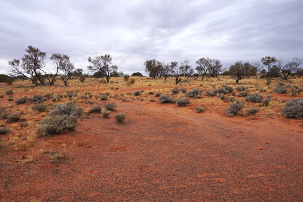 istock Arid Lands, Roxby Downs, South Australia 898267360
