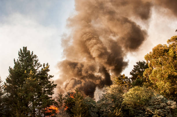 istock Smoke and Fire From Out of Control Wildfire 898268466