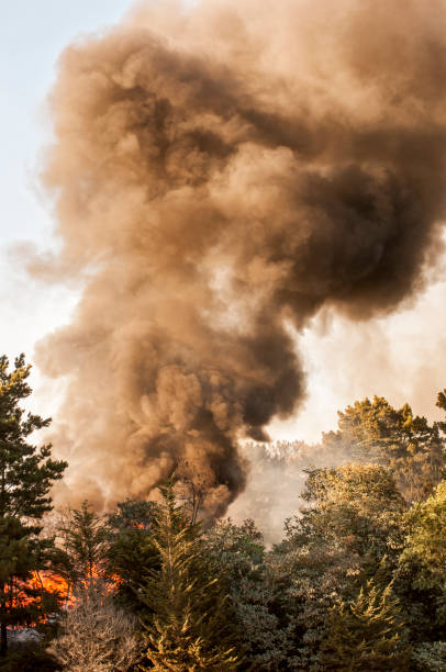 istock Smoke and Fire From Out of Control Wildfire 898268518